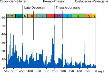 timeline of mass extinction