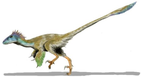utahraptor