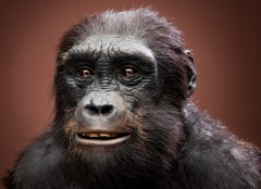 Reconstruction of sahelanthropus tchadens, who lived six to seven million years ago. (smithsonianscience.org)