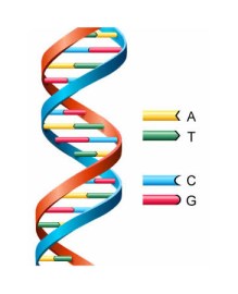 The survivor (ninetyninepercentscientist.files.wordpress.com)