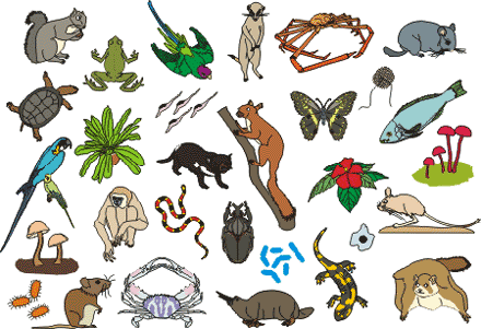 Which label covers them all: “beings,” “creatures,” or “living things”? (weed-science-classes.wikspaces.com)