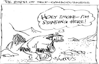  (langmaidpractice.com)