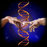 (theclergyletterproject.org)