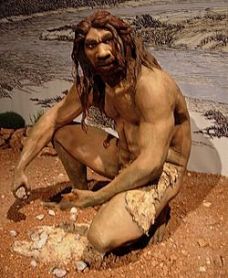 homo_heidelbergensis-wikipedia-com
