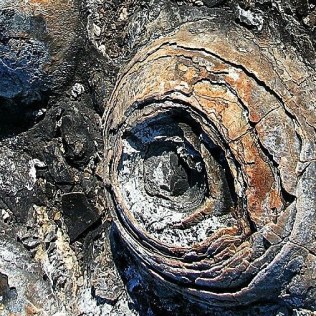 stromatolites layers pinterest