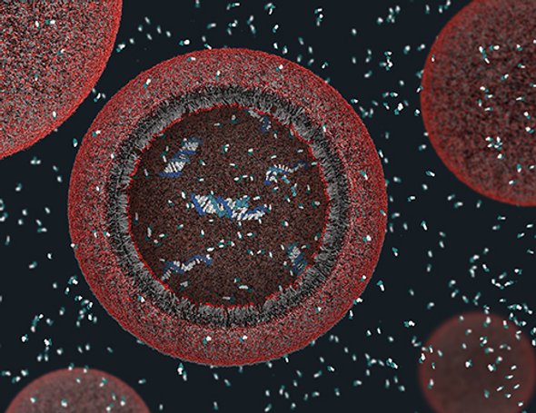 Lessons From the Origins of Life – Lives on Earth